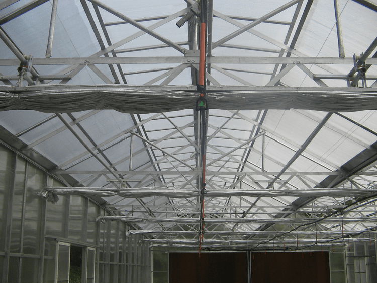 The realistic project picture of greenhouse of Zhangjiajie