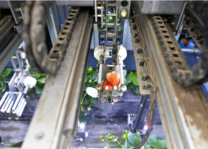 Mobile robots in greenhouse cultivation with planting technology 