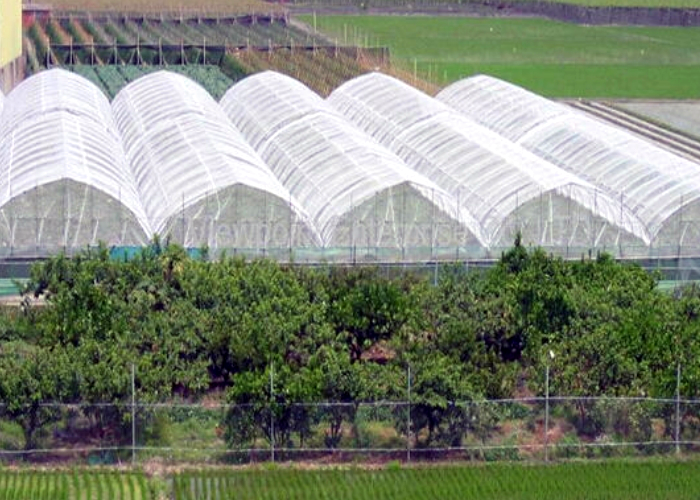 Proof Net|HDPE for Greenhouse-Bozong Greenhouse