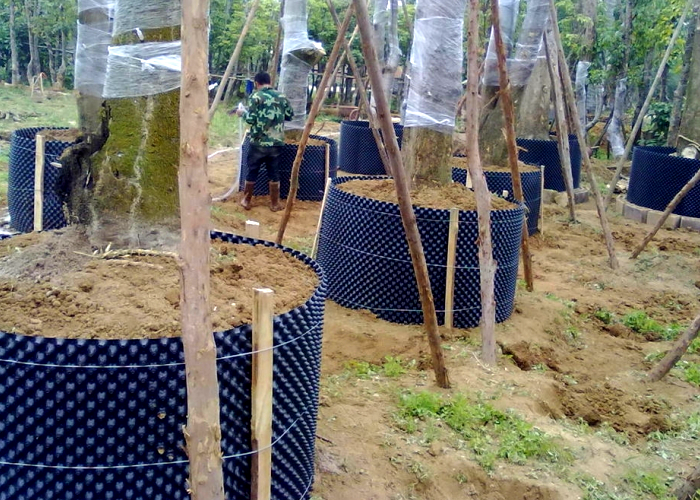Root Control Container for Greenhouse-Bozong Greenhouse