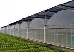 Indoor|Outdoor Vegetable Greenhouse For Sale!