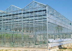 Research Greenhouse-Bozong Greenhouse