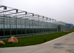 35 Years On Scientific Research Greenhouse-Bozong