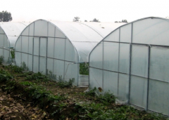 High Tunnel Greenhouse For Sale-Bozong Greenhouse