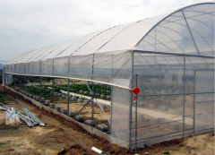 High Tunnel Kits Greenhouse-Bozong Greenhouse