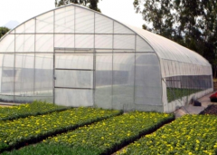 Cheap And High Quality Poly Tunnel Greenhouse-Bozong