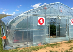 Polytunnel Greenhouse-Bozong Greenhouse