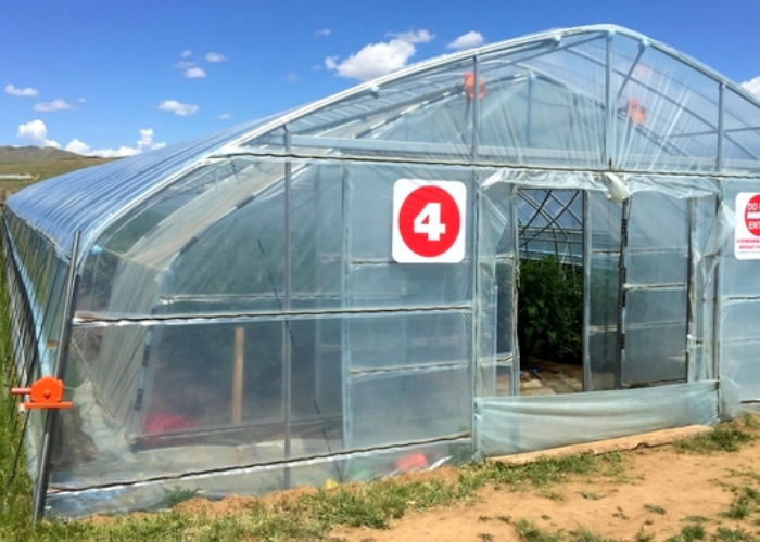 Polytunnel greenhouse