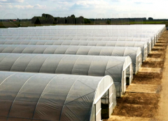 Cheap High Tunnel Greenhouse|Polytunnel Greenhouse-Bozong