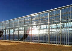 Commercial Glass Greenhouse kits-Bozong Greenhouse