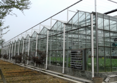 Glass Greenhouse With greenhouse spares-Bozong Greenhouse