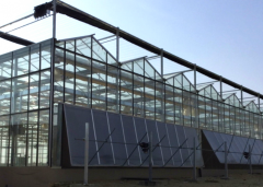 Hot Sale Glass Greenhouse for Agriculture-Bozong