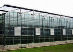 New Design Glass Greenhouse For Sale-Bozong Greenhouse