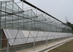 Multi Span Glass Greenhouse-Bozong Greenhouse