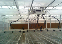 Multifunction Automatic Control for Greenhouse