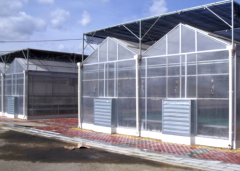 Polycarbonate Greenhouse-Bozong Greenhouse