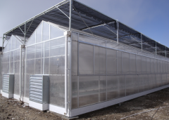 Polycarbonate Sheets Greenhouse-Bozong Greenhouse