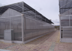 Cheap Polycarbonate Greenhouse For Sale-Bozong Greenhouse