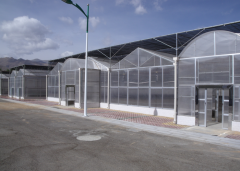Polycarbonate Roofing Greenhouse-Bozong Greenhouse