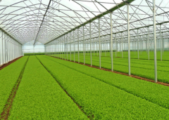 Carbon Dioxide in the