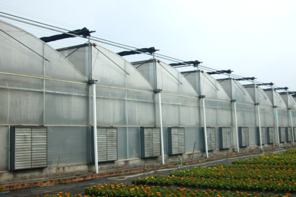 The Sawtooth Greenhouse
