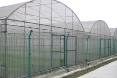Cheap Plastic Film Greenhouse For Sale-Bozong Greenhouse