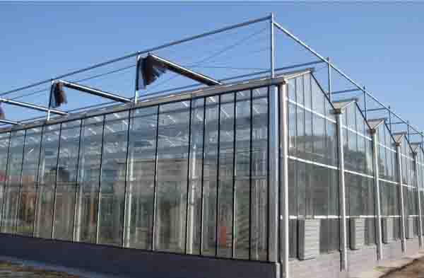 <b>The Glass Greenhouse</b>