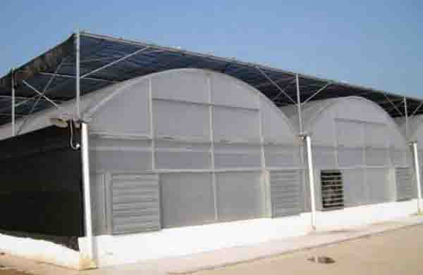 plastic film greenhouse with External Sun-Shade System