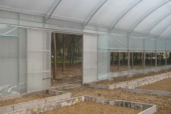 single span greenhouse