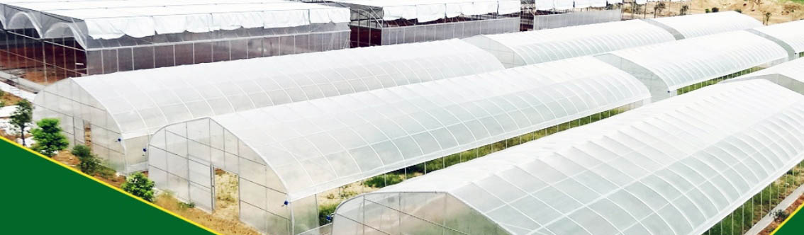 Plastic Film Greenhouse For Vegetable Growing