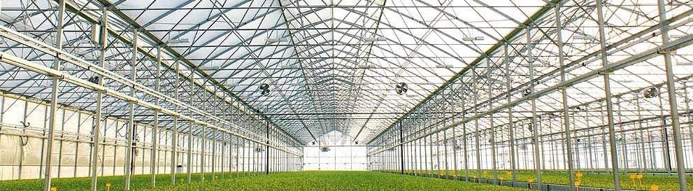 2016 New Hot Dip Galvanized Pipe Glass Greenhouse For Sale！
