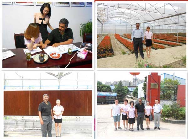 Customer Visiting Polycarbonate Greenhouse
