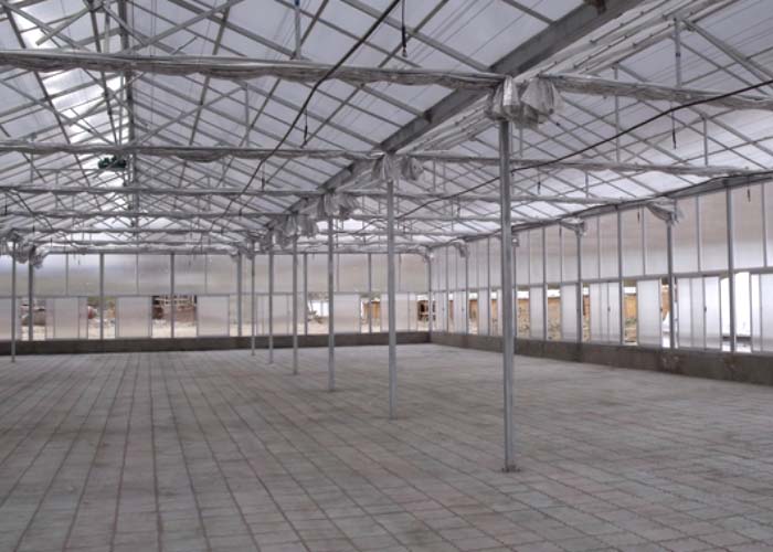 Polycarbonate Greenhouse With Auto System