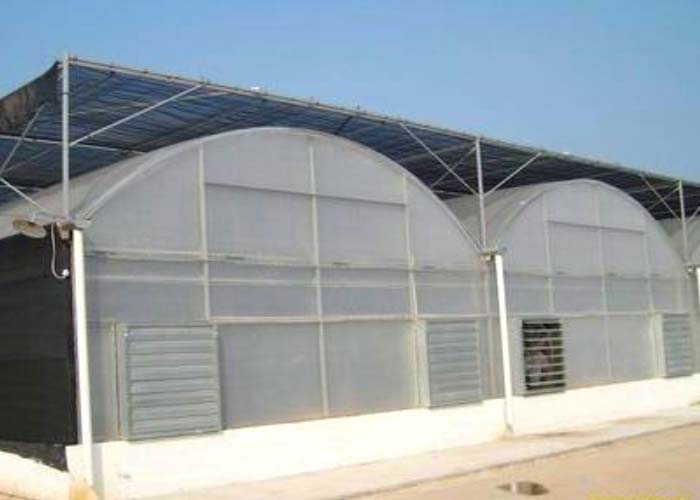 Polycarbonate (PC) Sheet Greenhouse for Vegetable