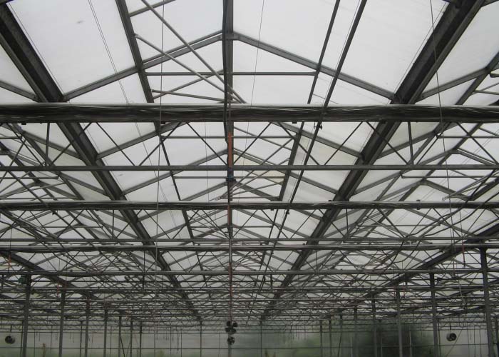 Polycarbonate (PC) Sheet Greenhouse for Vegetable
