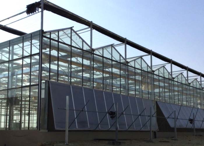 Hot Sale Glass Greenhouse for Agriculture