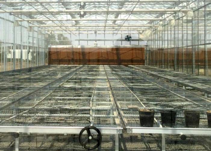 Hot Sale Glass Greenhouse for Agriculture(inside)
