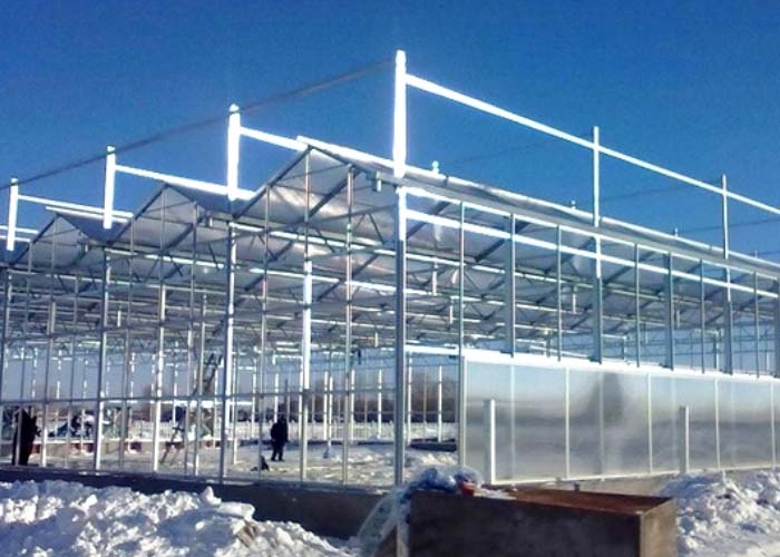 Commercial Glass Greenhouse