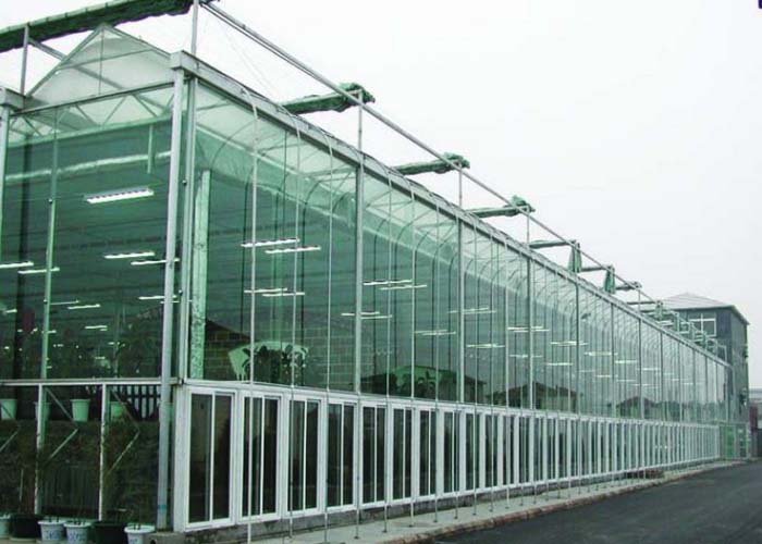 Commercial Multispan Glass Greenhouse
