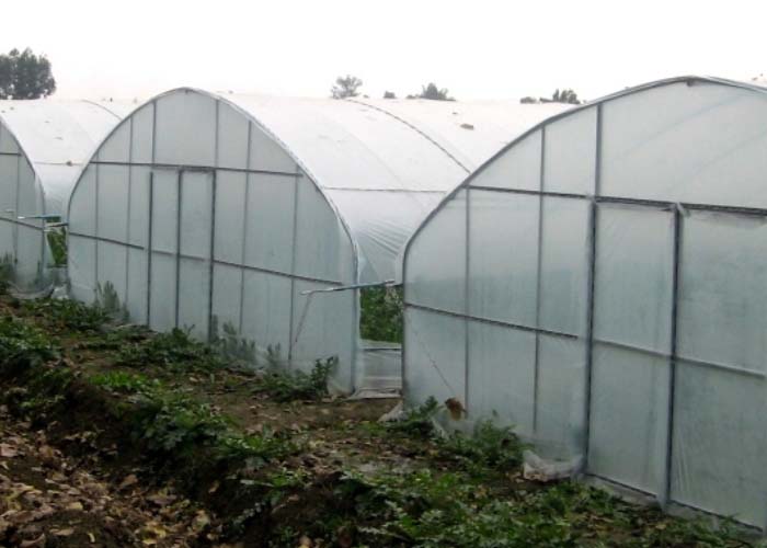 Plastic Tunnel Greenhouse