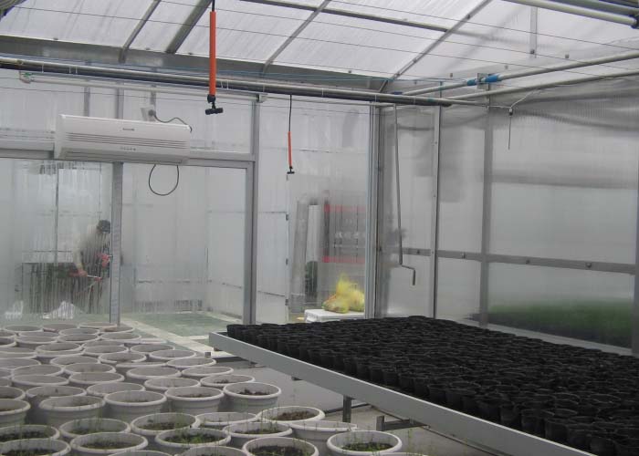 Scientific Research Greenhouse（inside）