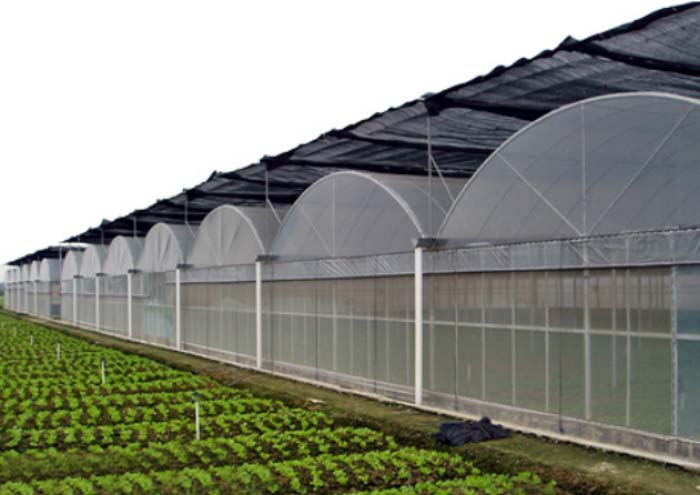 Vegetable Greenhouse For Glass Greenhouse