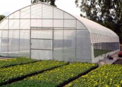 35years Bozong Greenhouse|Vegetable Greenhouse|Film Greenhou
