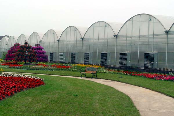 Flower Greenhouse（outside）