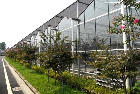 flowers glass greenhouse for sale