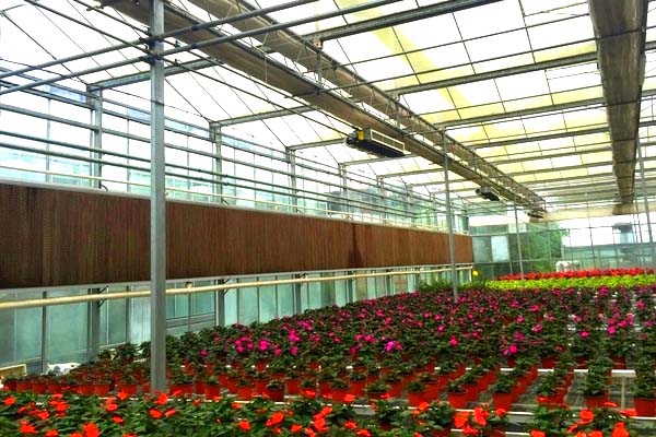 flower greenhouse with cooling system