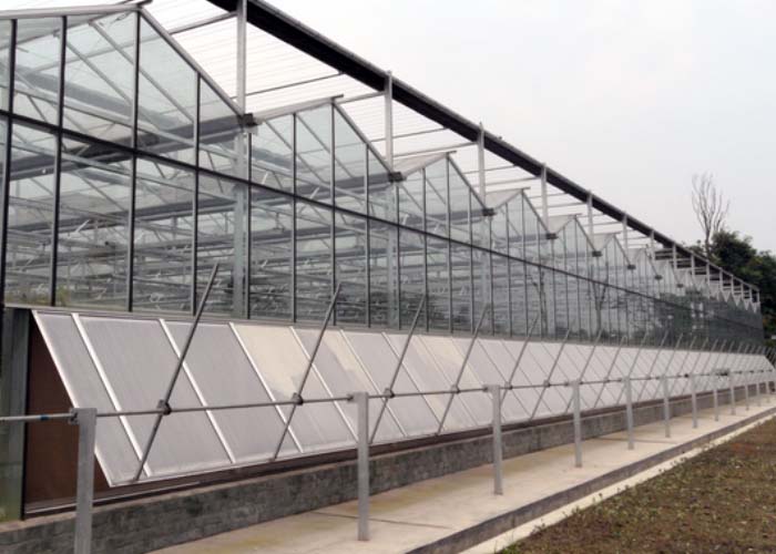 Multi Span Glass Greenhouse