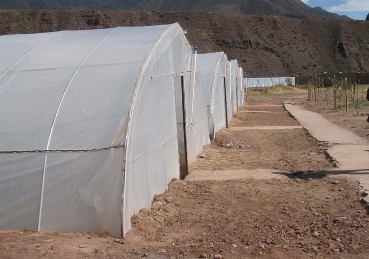 The realistic project picture of greenhouse of TunKeng army,