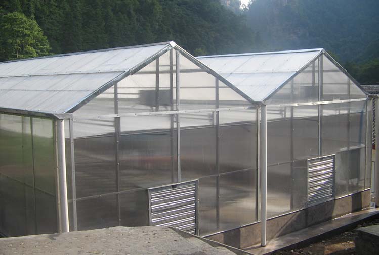 The realistic project picture of greenhouse of Zhangjiajie