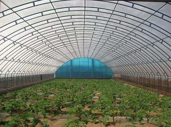 Plastic greenhouses